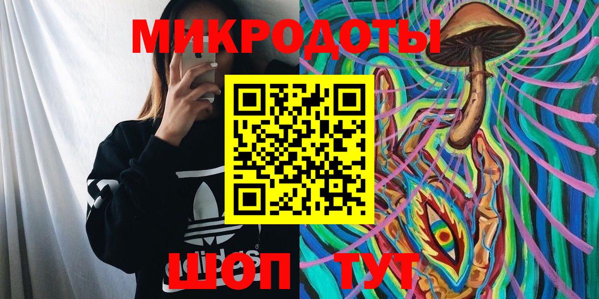 Галлюциногенные грибы Psilocybine cubensis Темрюк