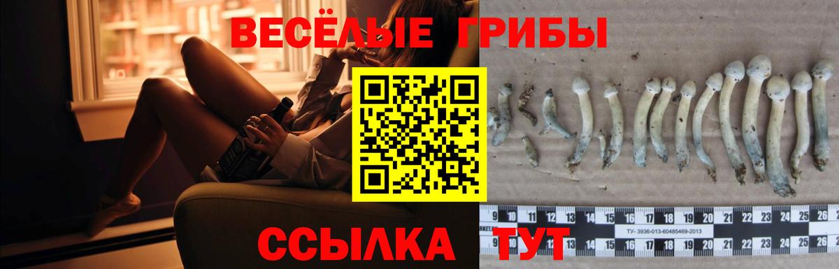 Галлюциногенные грибы прущие грибы  Галлюциногенные грибы мицелий  Темрюк  Вход с VPN 